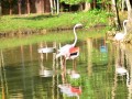 Tn DSC 1729